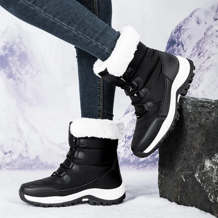 Preview /6957c46024db0600099c0a43/2026/01/28/product-img-6979e5ff6f539c4f6d5f04c9.png